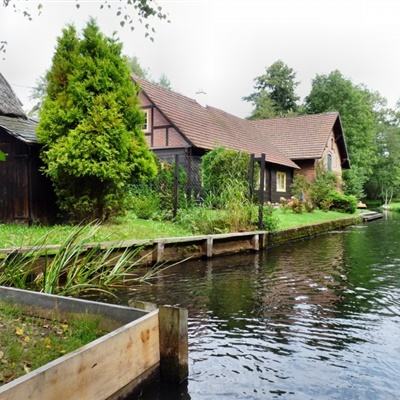 b体育在线登陆素描版