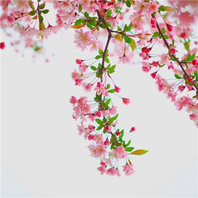 爱体育官方app下载